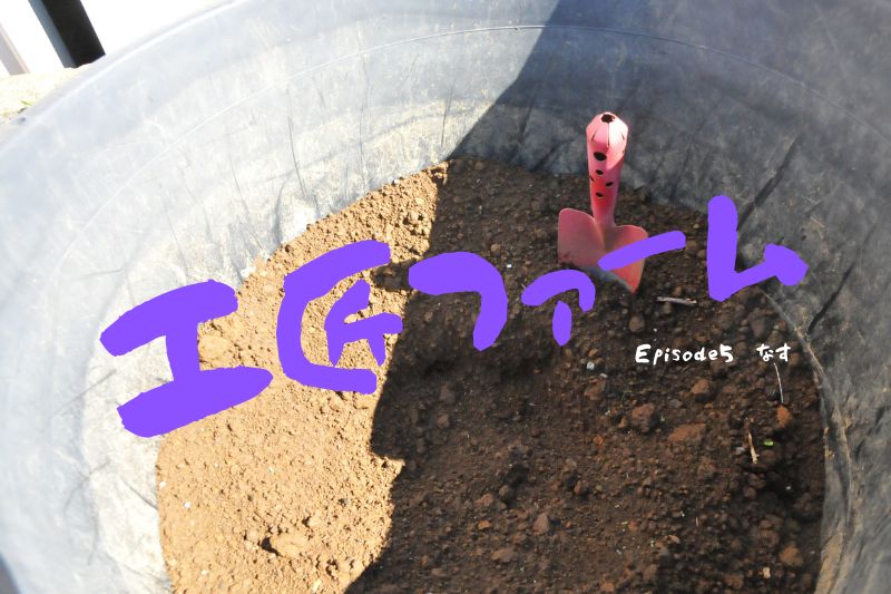 【工匠ファーム Episode 5】松戸市工匠の敷地に『なす』が実りました!